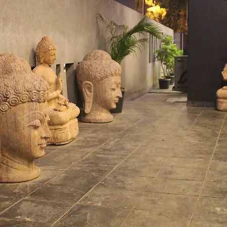 Dragonfly Hotel - The Art Hotel-3